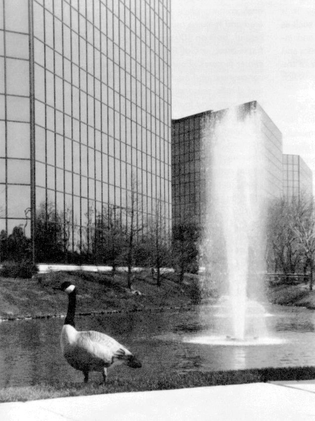 G.D. Searle & Co. buildings just off Edens Expressway at Old Orchard Road [Photo by Gerald Scott]